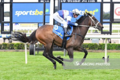 Go Racing | Faraway Dream Winning at Ballarat