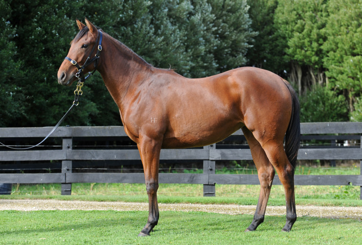 Zanotti heads to stakes class