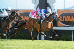 Go Racing | Mighty Solomon Winning at Hastings