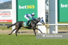 Go Racing | Opera Belle Winning at Wodonga