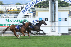 Go Racing | Hasabro Winning at Matamata