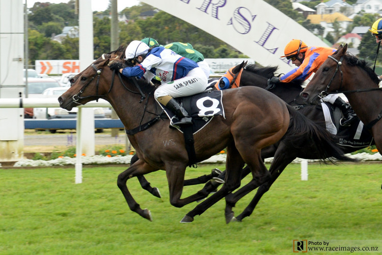 Silver lining for Hasahalo in Sistema Stakes