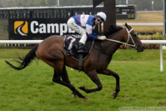 Go Racing | No More Tears Winning at Rotorua