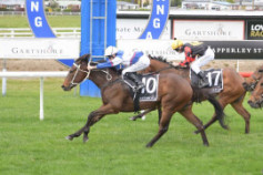 Go Racing | Abandon Winning at Tauranga