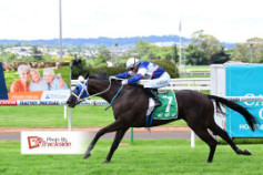 Go Racing | Stardome Winning at Toowoomba