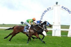 Go Racing | Miss Lightning Winning at Waverley