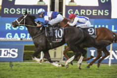 Go Racing | Mubariz Winning at Rosehill