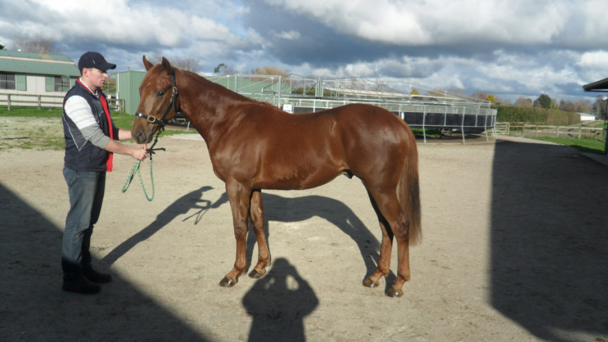 Kauri Park stands strong in Singapore