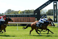 Go Racing | Billy Mojo Winning at Rotorua