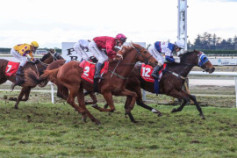 Go Racing | Sanctify Winning at Timaru