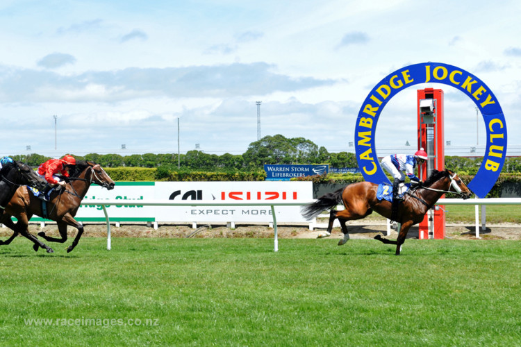 Emerging from hibernation