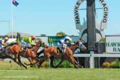 Go Racing | Mighty Solomon Winning at Hawke's Bay