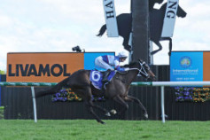 Go Racing | So Fear Winning at Hawke's Bay