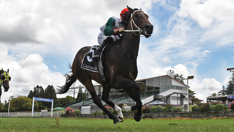 Barneswood Brady Nakhle and Go Racing team up for NZB Kiwi