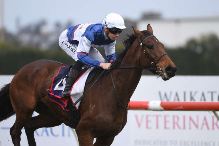 Strong start fuels big spring hopes for Go Racing