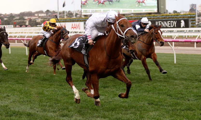 Alward heads to Lexus Stakes