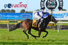 Go Racing | Hasabro Winning at Taranaki