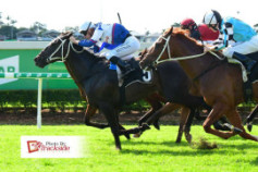 Go Racing | Fairy Me Home Winning at Doomben