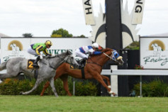Go Racing | Seize The Moment Winning at Hawkes Bay