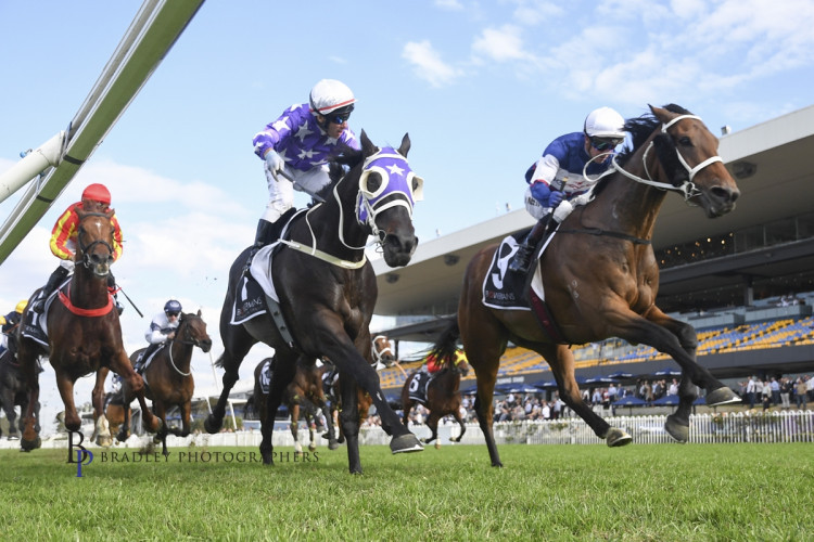 Wins on both sides of the Tasman for Go Racing [Go Racing]