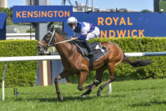 Go Racing | Mightybeel Winning at Randwick – Kensington Track