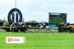 Go Racing | Otyrar Winning at Doomben