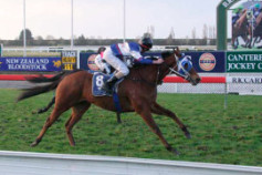 Go Racing | Pycok Flyer Winning at Canterbury