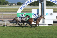 Go Racing | Well I Never Winning at Matamata