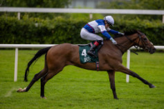 Go Racing | Masoun Winning at Leopardstown