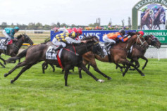 Go Racing | Severine Winning at Riccarton