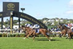 Go Racing | Loose Cannon Winning at Ellerslie