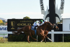 Go Racing | Passing Shot Winning at Hastings