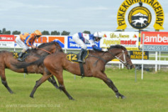 Go Racing | Attivaree Winning at Taranaki