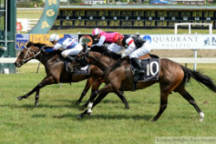 Go Racing | What A Diva Winning at Tauranga