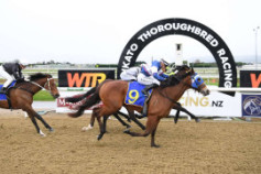 Go Racing | Fun Never Sets Winning at Cambridge