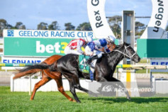 Go Racing | Wairere Falls Winning at Geelong