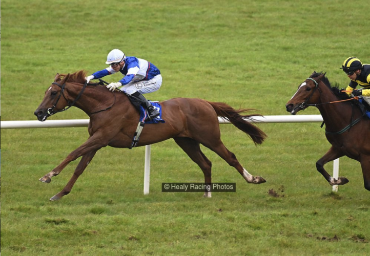 New European strategy proving fruitful for Go Racing