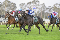 Go Racing | Sting In The Tail Winning at Warwick Farm