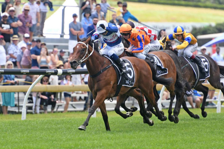 Go Racing unbox a double