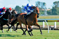 Go Racing | Savour The Moment Winning at Waikato