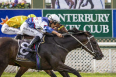 Go Racing | Atishu Winning at Riccarton