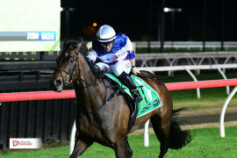 Go Racing | Cigar Man Winning at Toowoomba