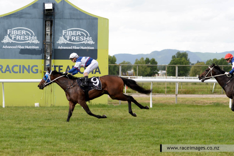 Go Racing feeling the love at Te Aroha