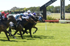 Go Racing | She Speeds Winning at Rotorua