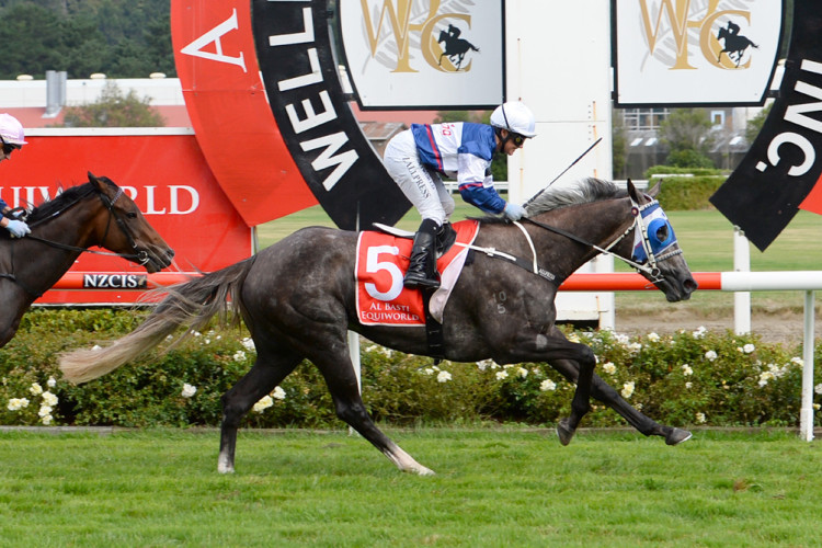 Hasn’t missed a trick