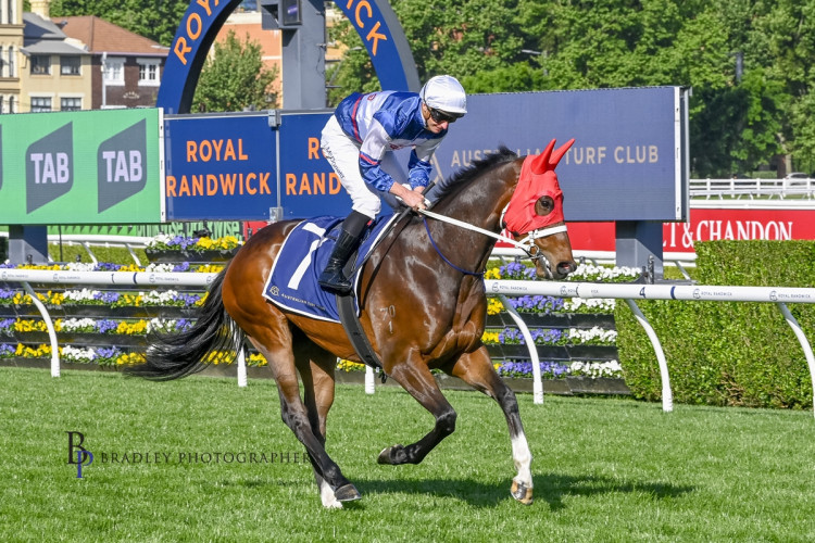 Go Racing aiming to start November with a bang