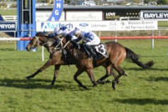 Go Racing | Savappiel Winning at Tauranga