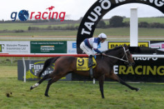 Go Racing | Loose Cannon Winning at Taupo