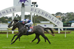 Go Racing | Silver Rod Winning at Ellerslie