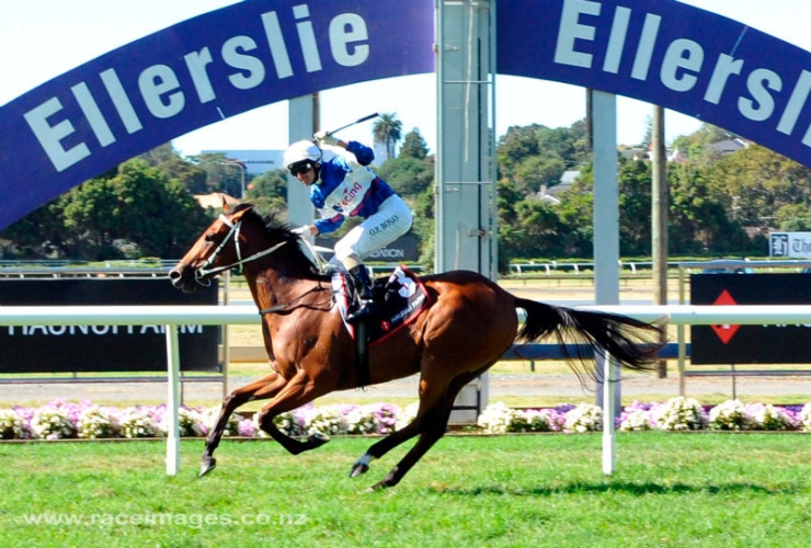 Finally he gets to see a Melbourne Cup